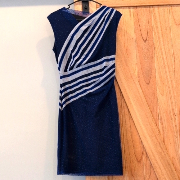 REISS Size 4 Dress as seen on GLEE - Picture 3 of 8